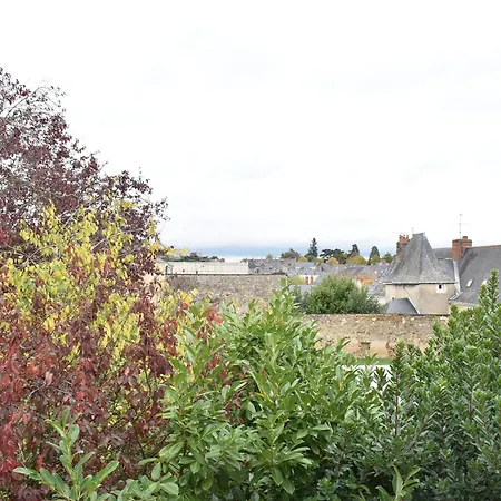 Maison De Charme, 8 Pers, Centre-ville De Gontier